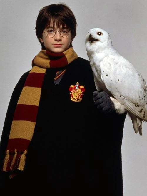 Harry Potter Pattern 5D Diamond Painting - Image 17