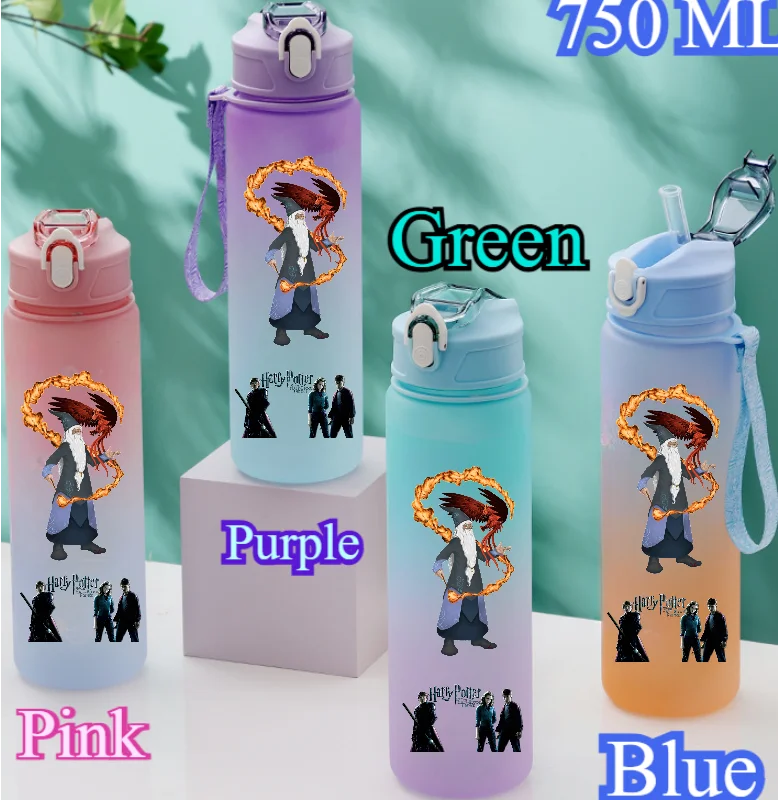 Harry Potter 750ML Outdoor Sports Water Bottle - Image 16