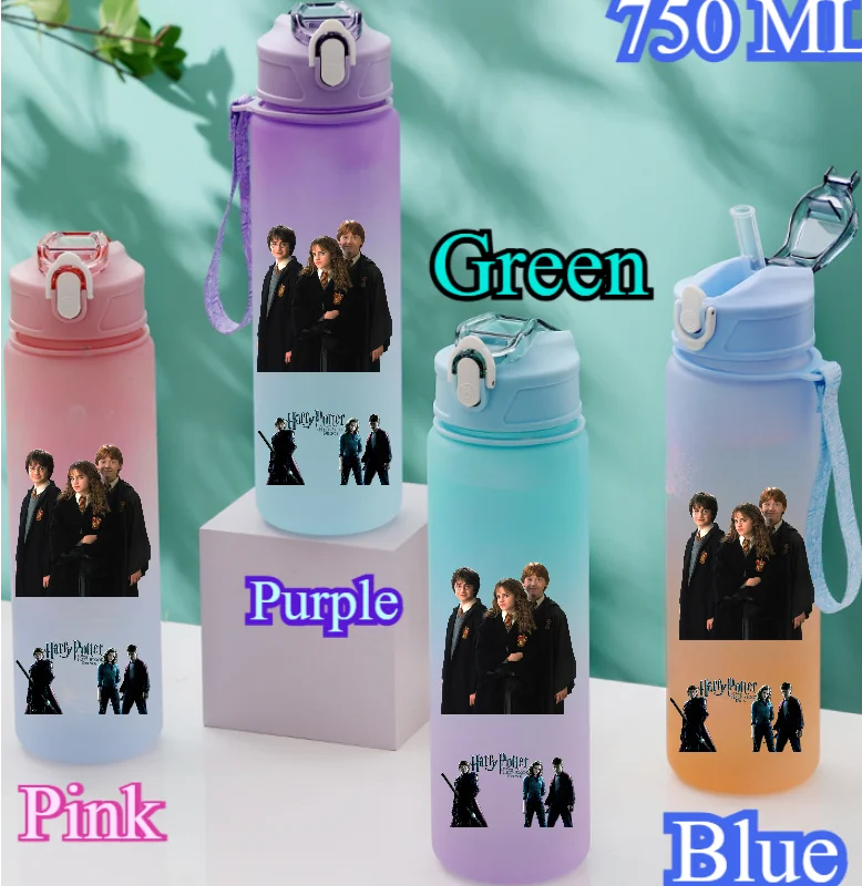 Harry Potter 750ML Outdoor Sports Water Bottle - Image 28