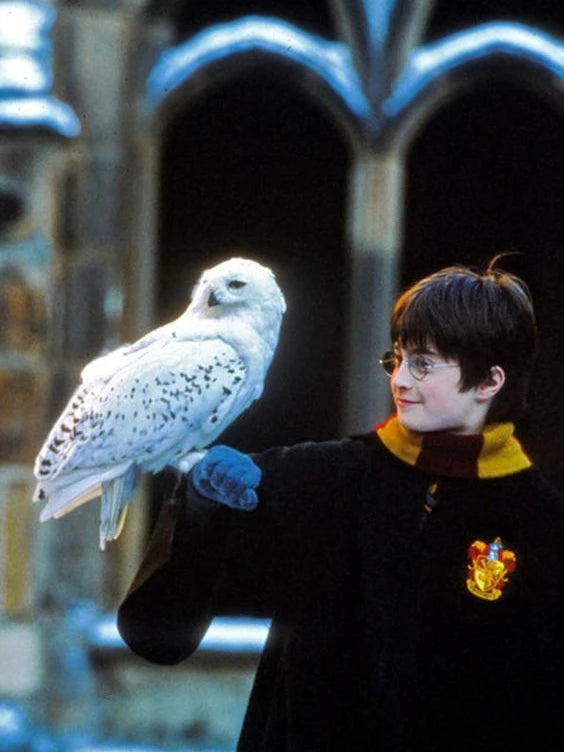 Harry Potter Magic School Square 5D Diamond Painting - Image 14