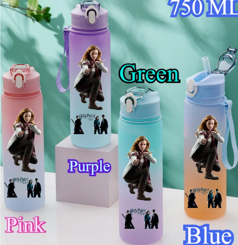 Harry Potter 750ML Outdoor Sports Water Bottle - Image 32