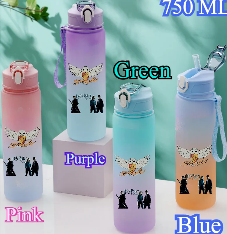 Harry Potter 750ML Outdoor Sports Water Bottle - Image 18