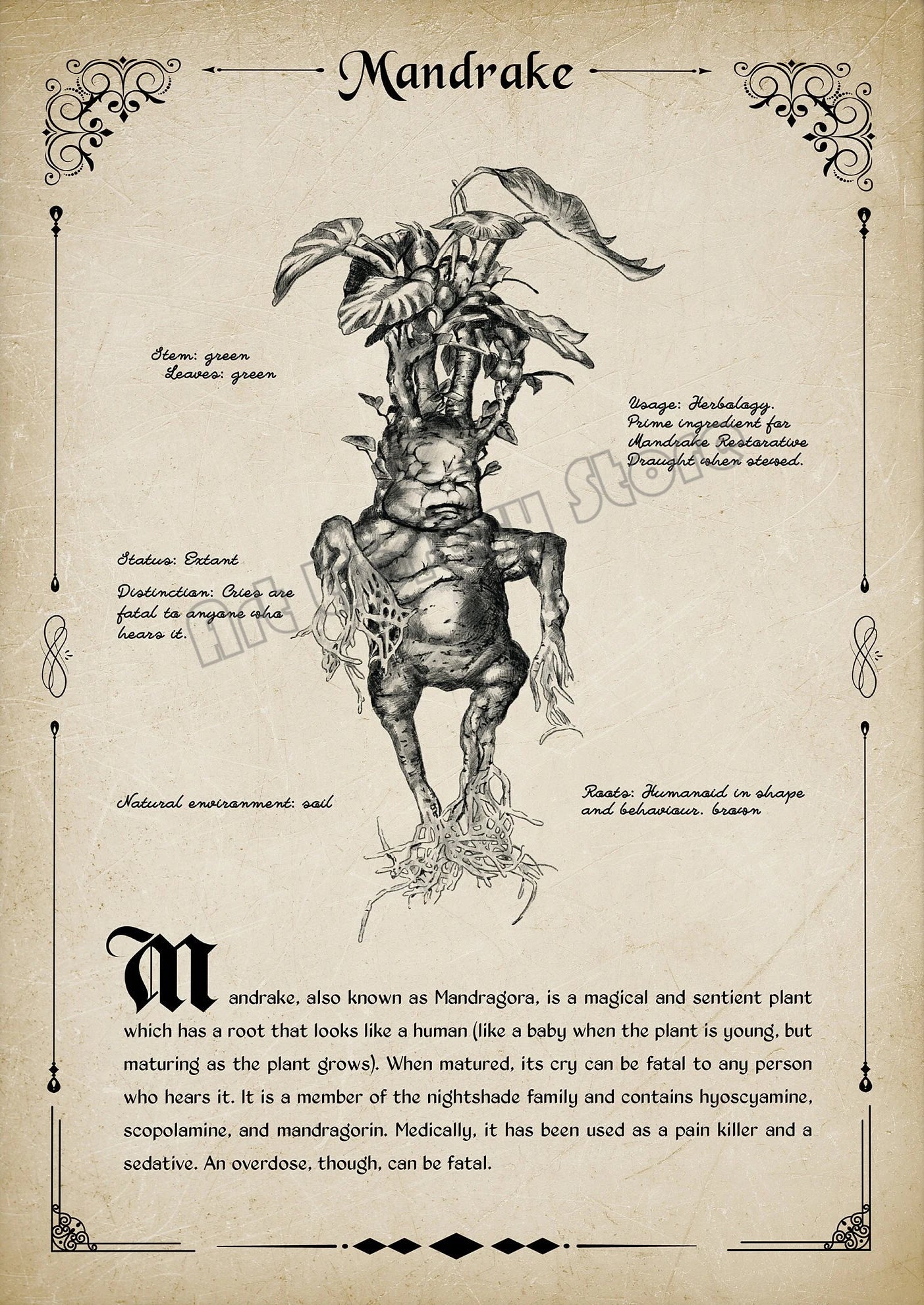 Retro Wizard World Magical Creatures Poster - Image 13